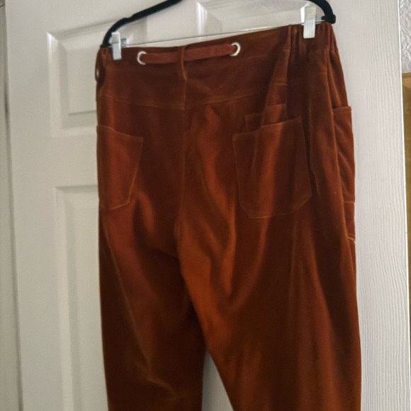 Rust Brown Velvet Barrel Pants - Picture 7 of 8